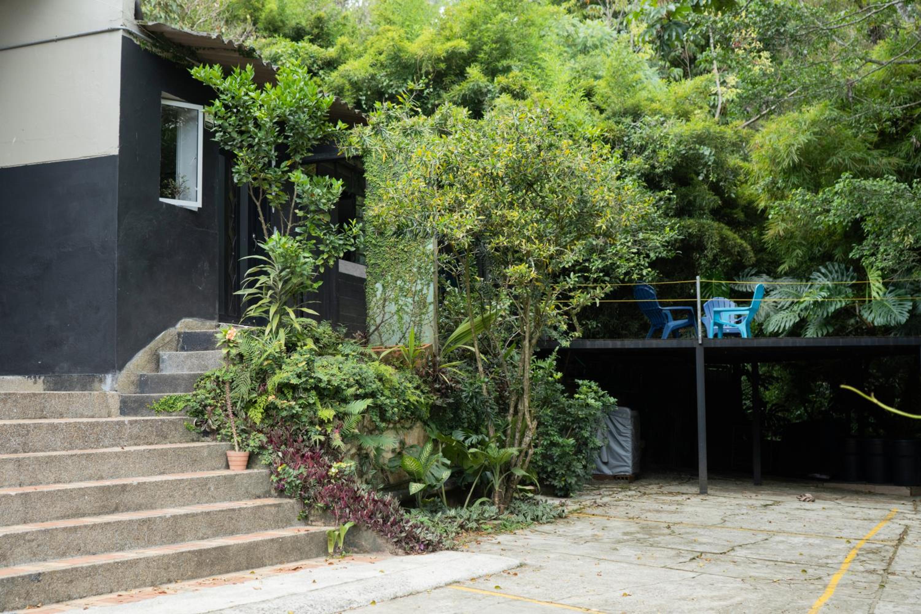 Central House in El Poblado surrounded by nature