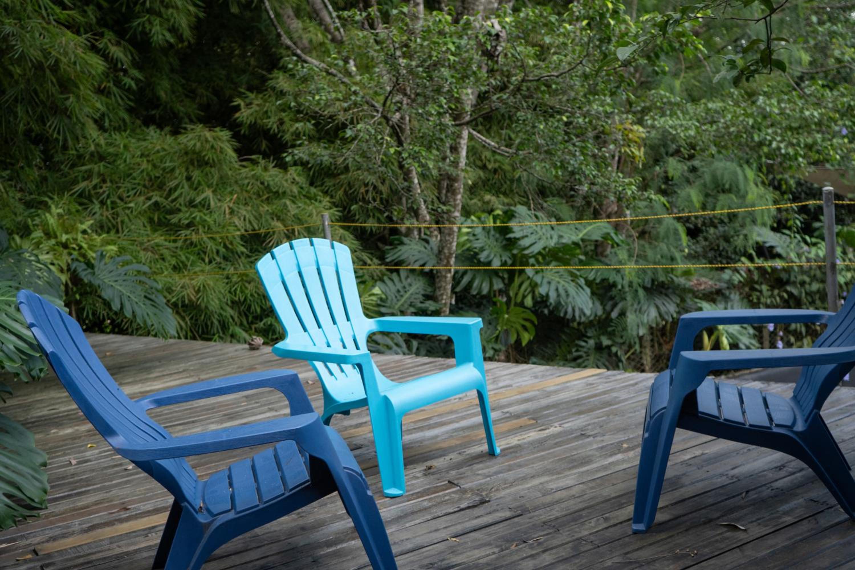 Central House in El Poblado surrounded by nature