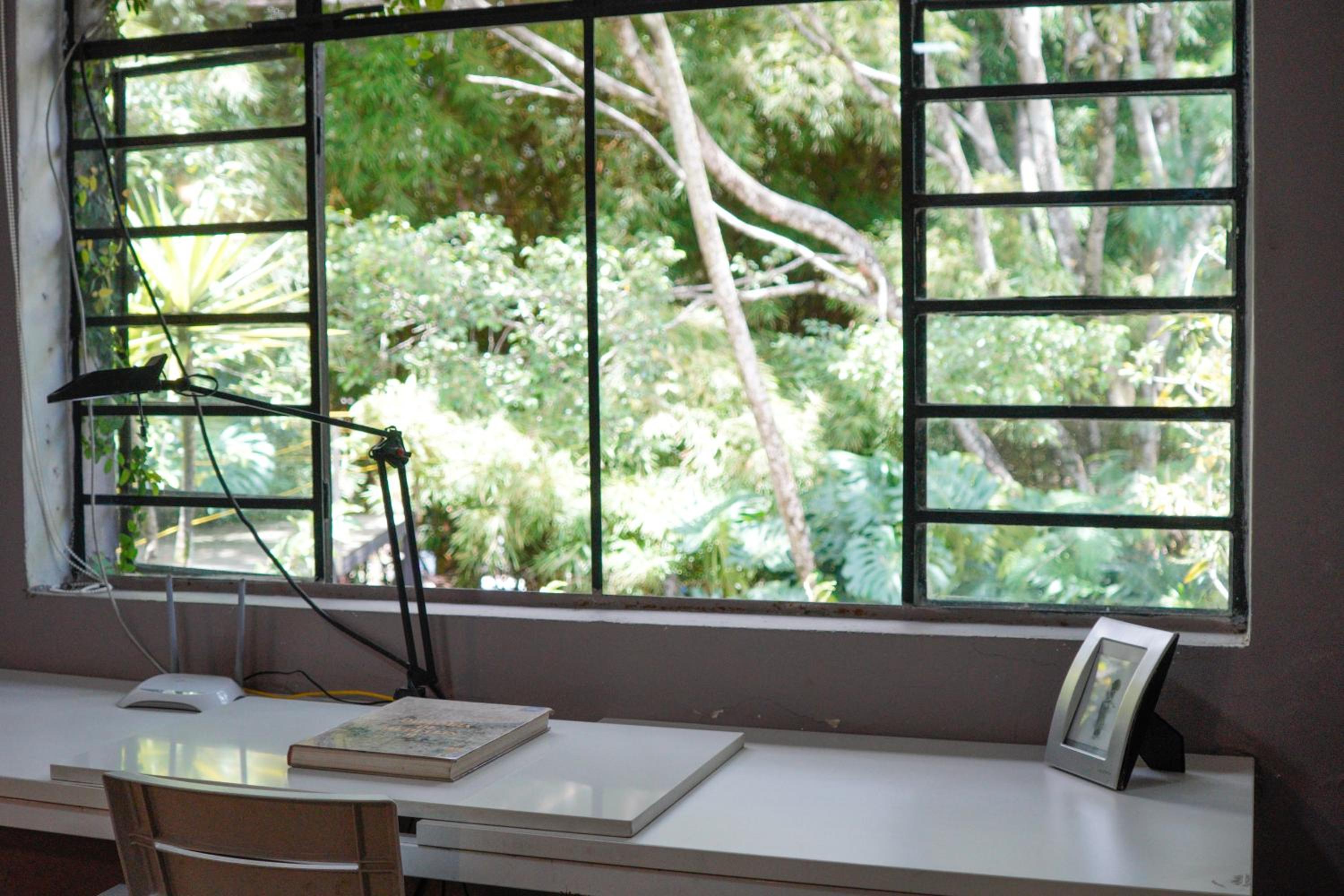 Central House in El Poblado surrounded by nature