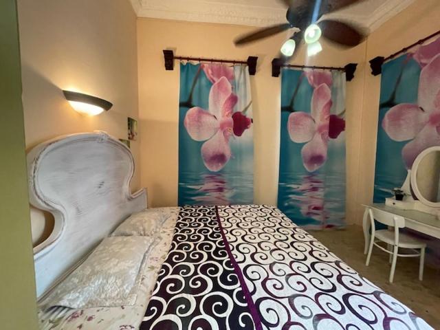 Beachfront private villa in Cabarete with 5 separate apartments
