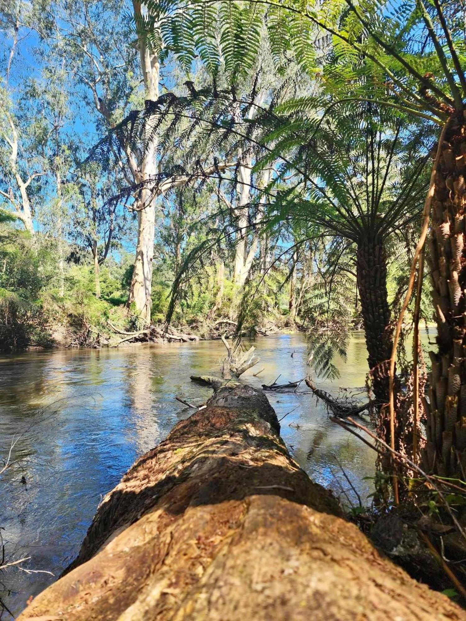 Riverwood Cottage, accessible accommodation