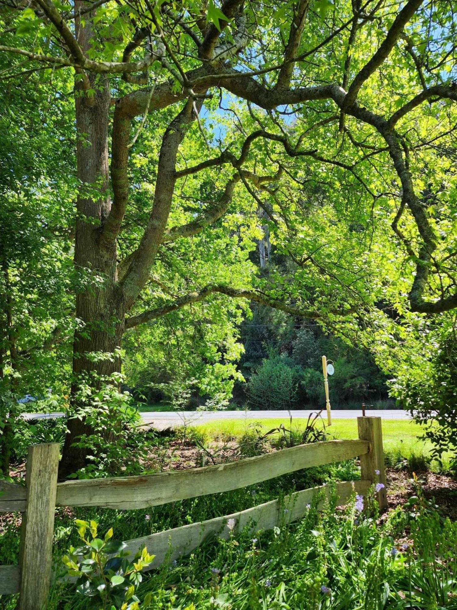 Riverwood Cottage, accessible accommodation