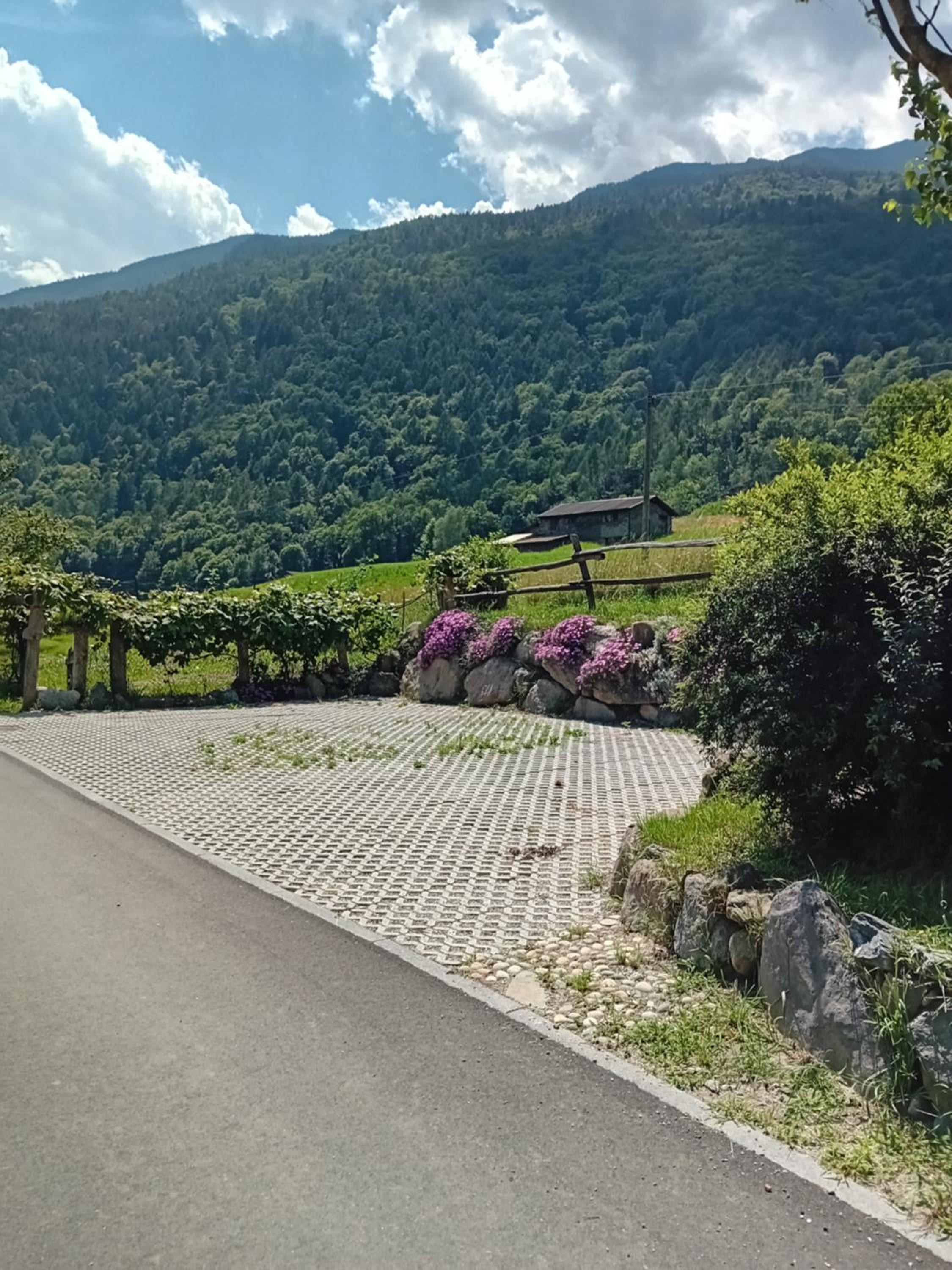 La Via Camuna