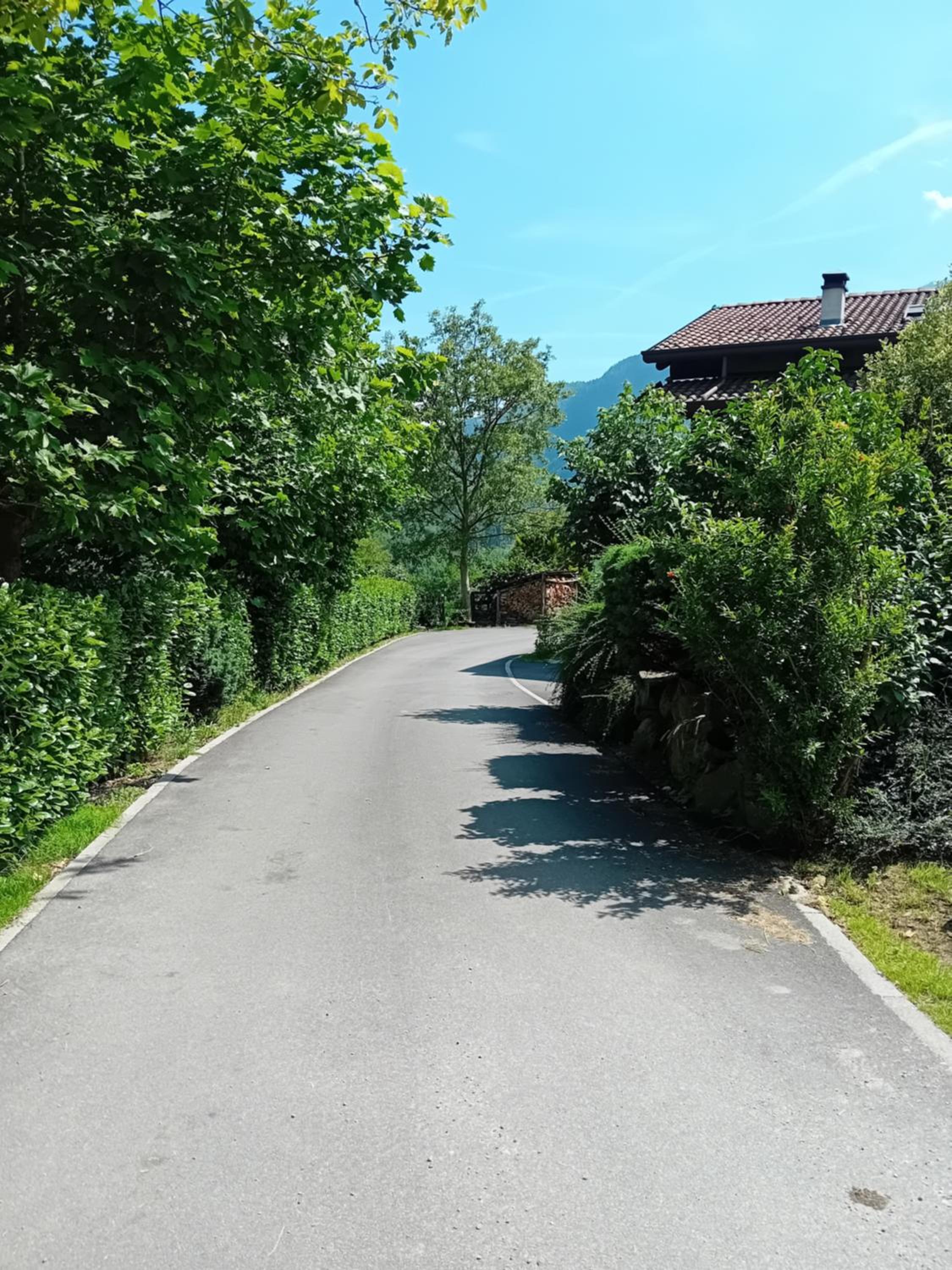 La Via Camuna