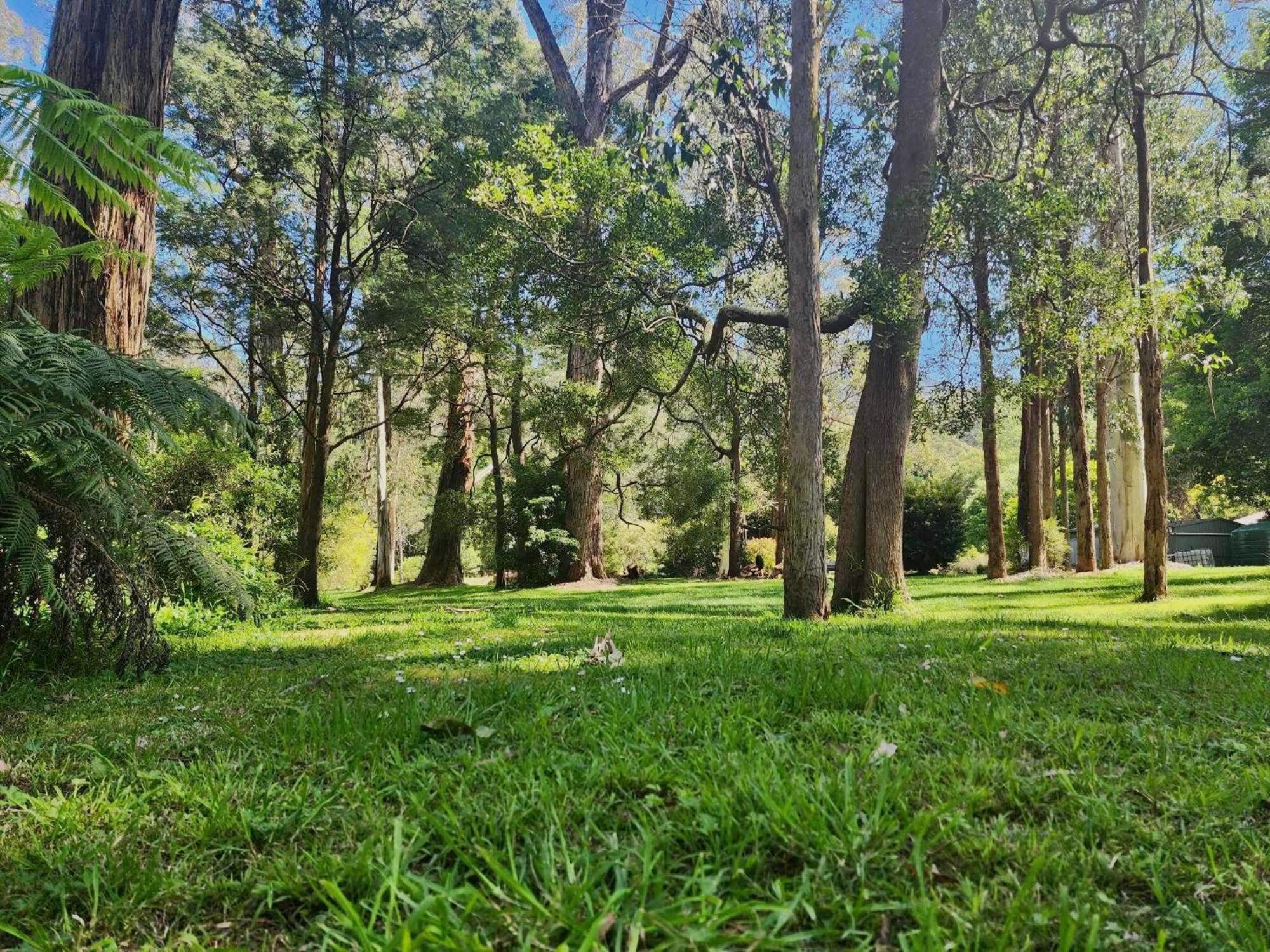 Riverwood Cottage, accessible accommodation