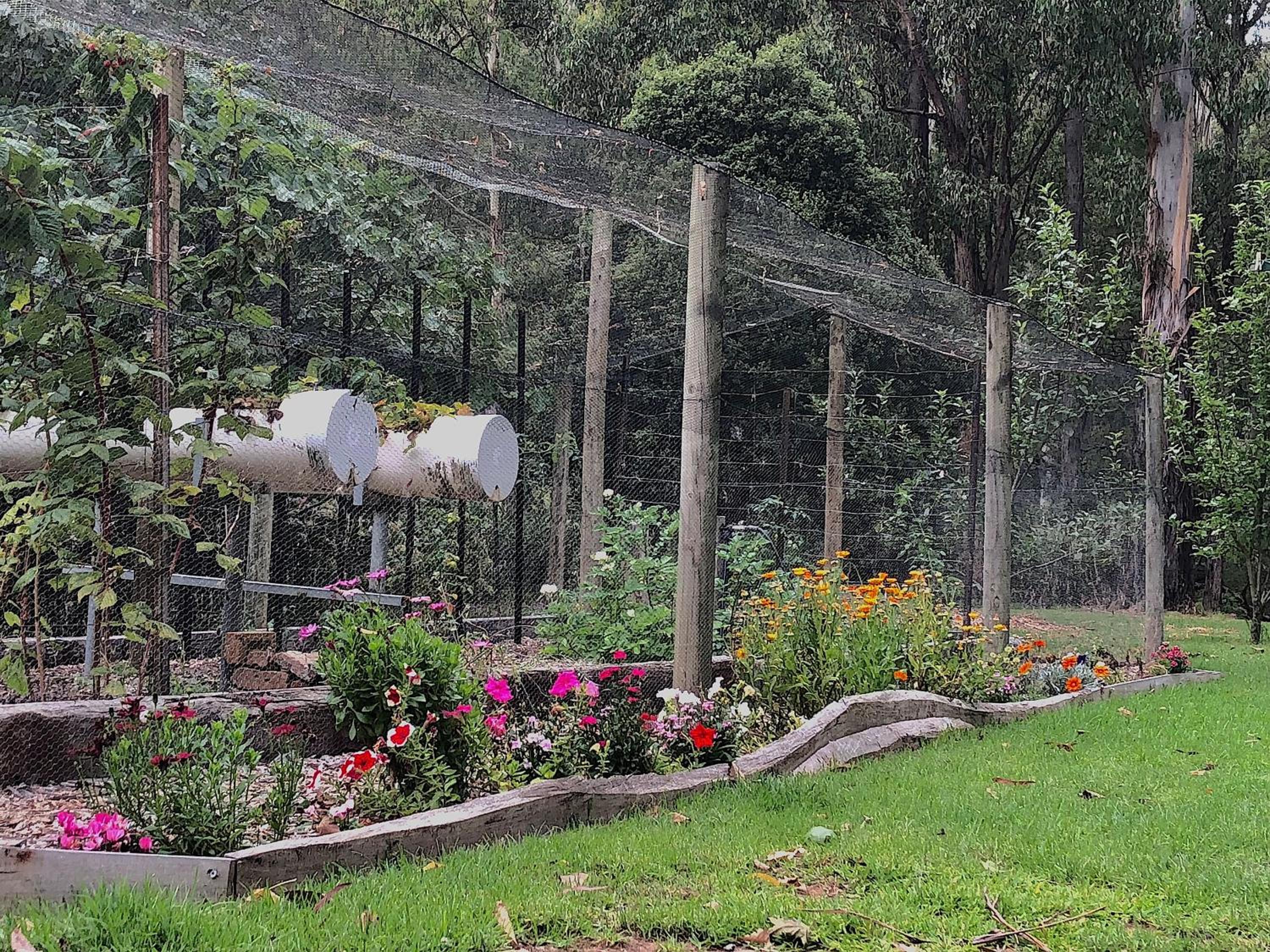 Riverwood Cottage, accessible accommodation