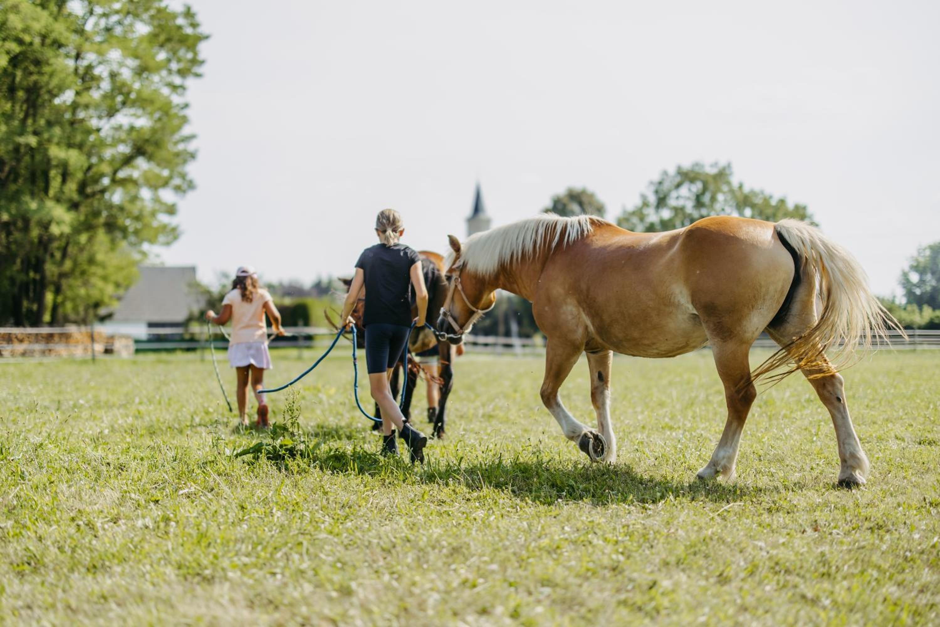 Family Ranch Urlaub am Pferdehof