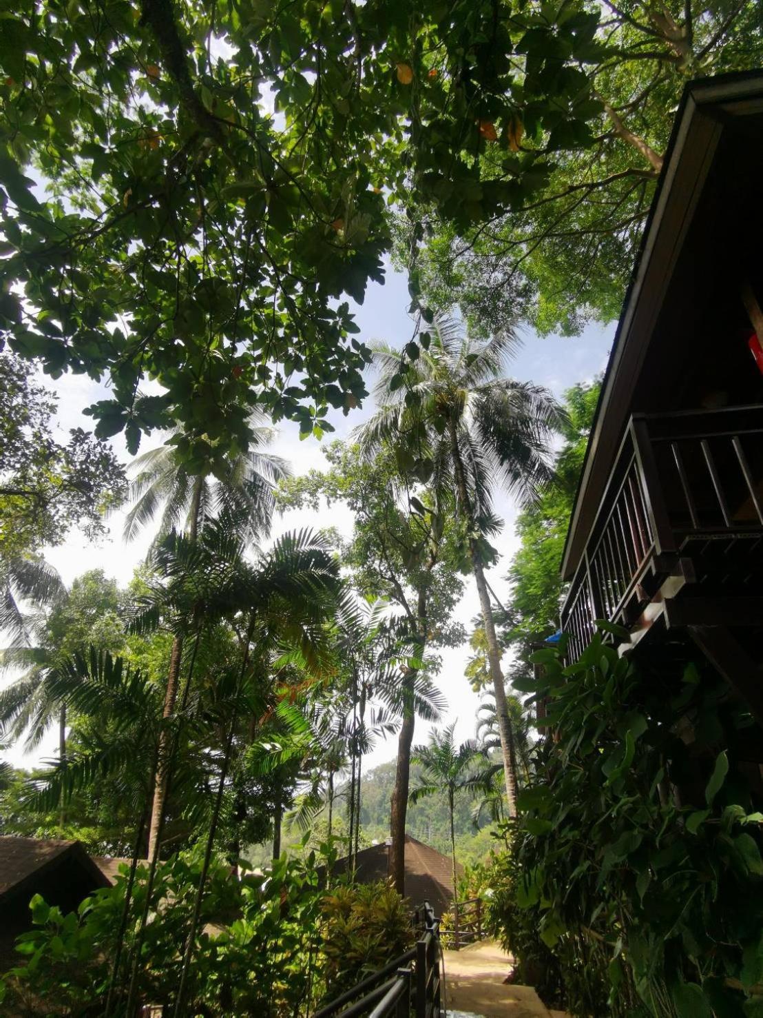 Baan Krating Khao Lak Resort - SHA plus