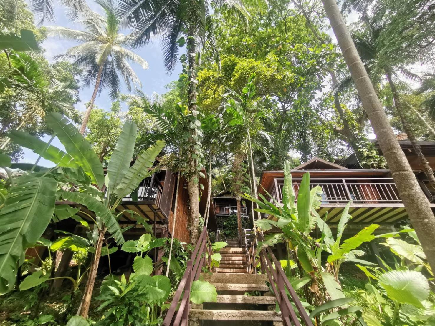 Baan Krating Khao Lak Resort - SHA plus