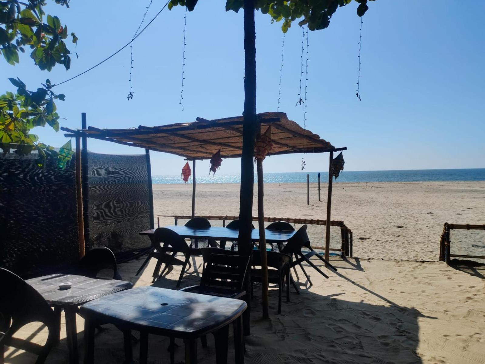 Dolphin Beach House view 4