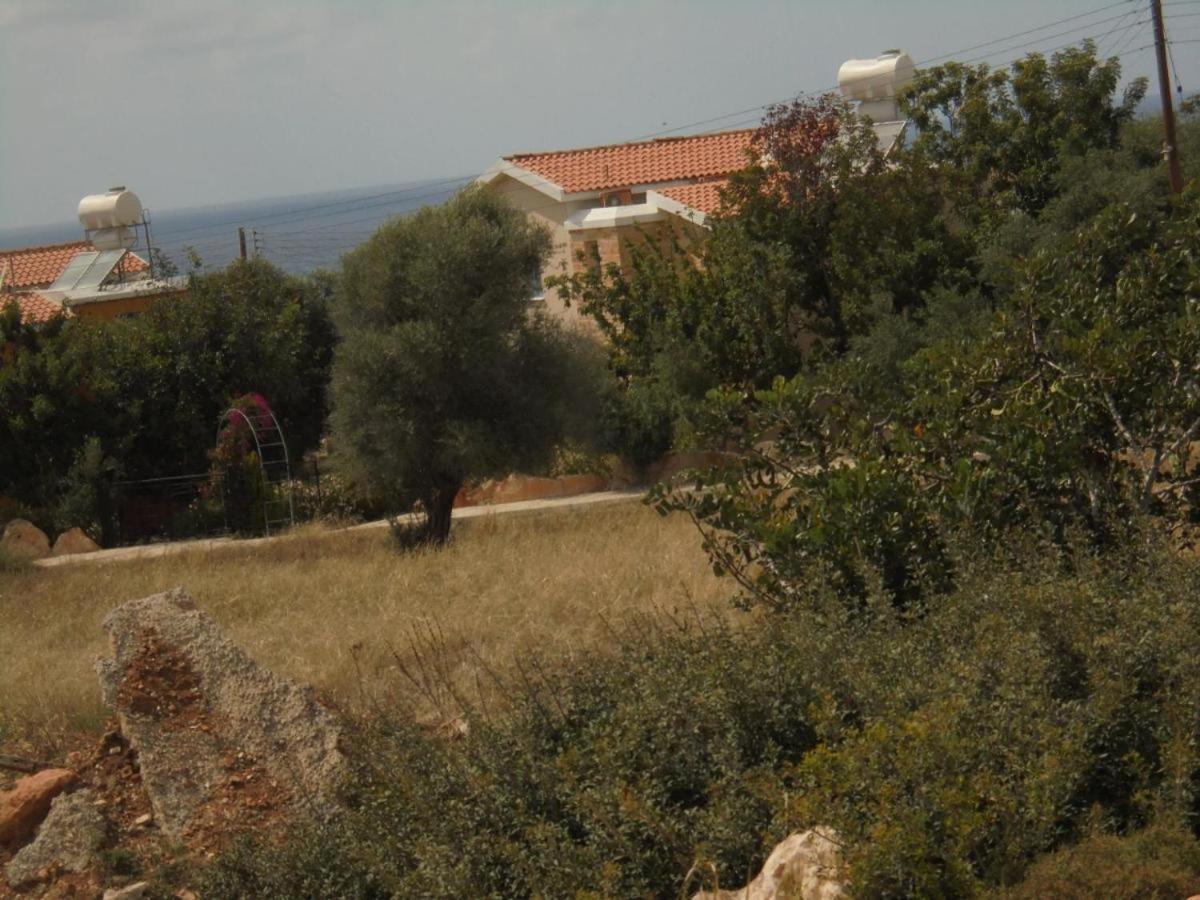 Queen Eyridiki Luxury Villa 1