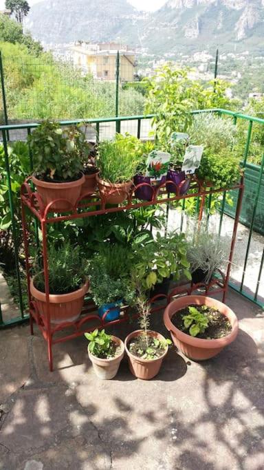 Villa Rosamaria Exclusive Sorrento & Amalfi coast photo 3