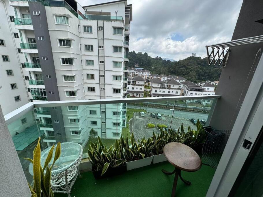 Quintet homestay