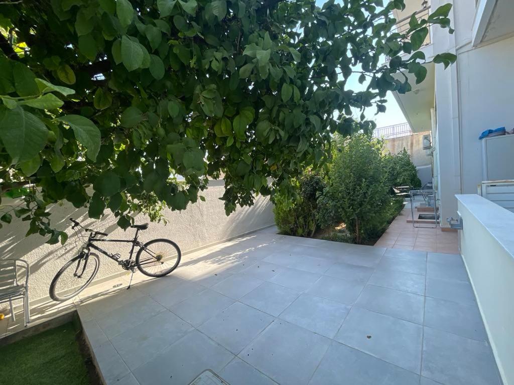 Lysiou3 view 4