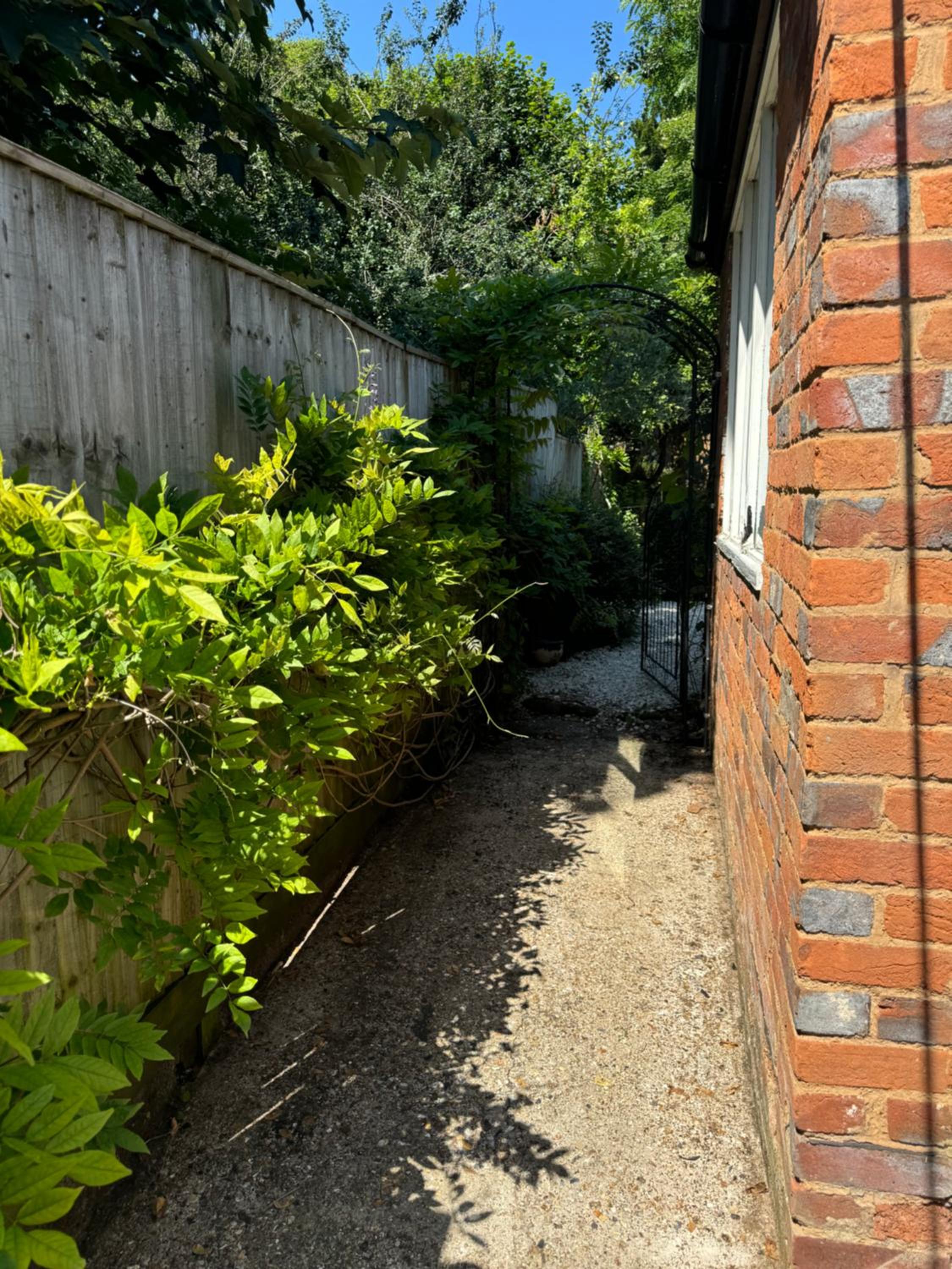 Photo 20