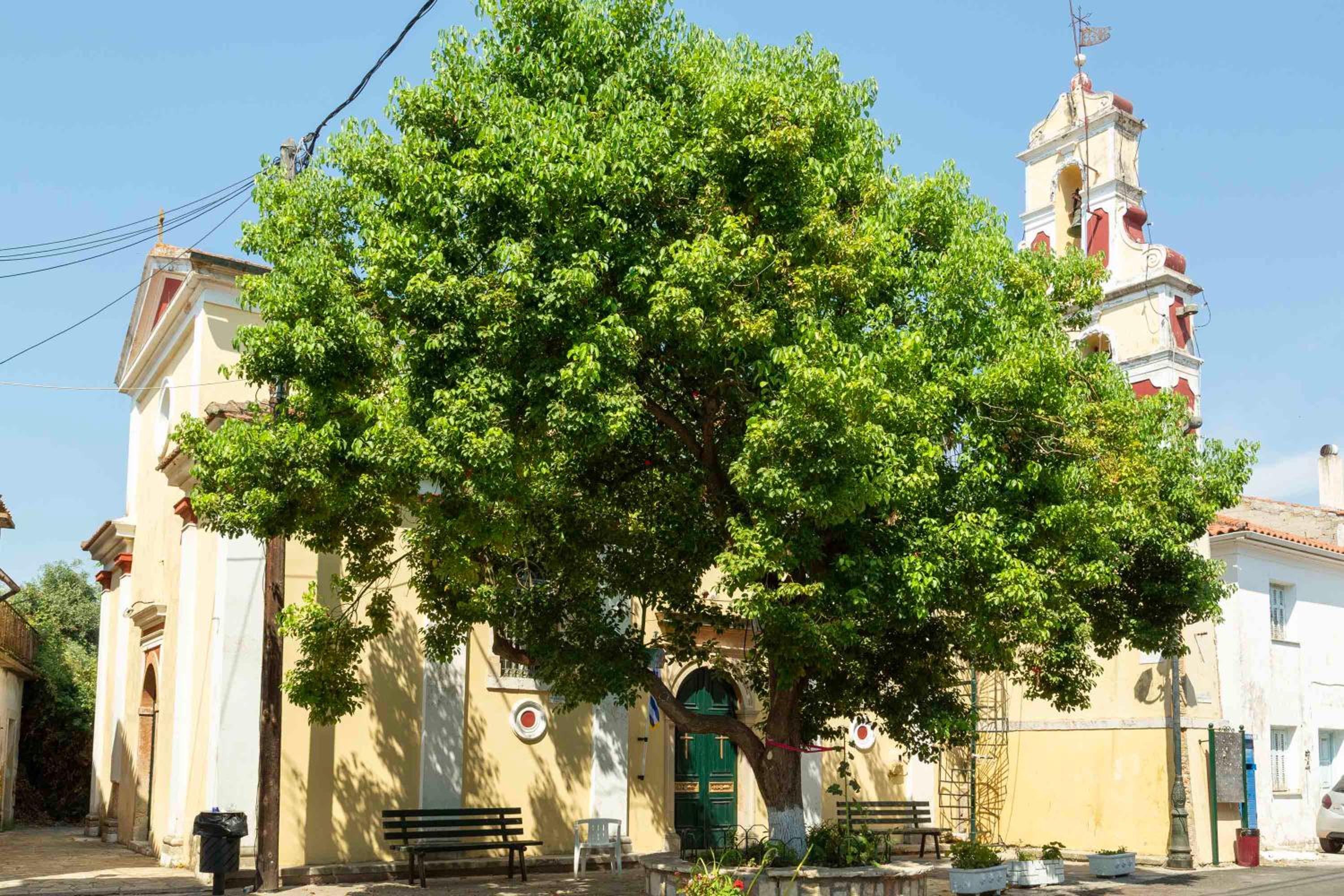 Casa Jinjola