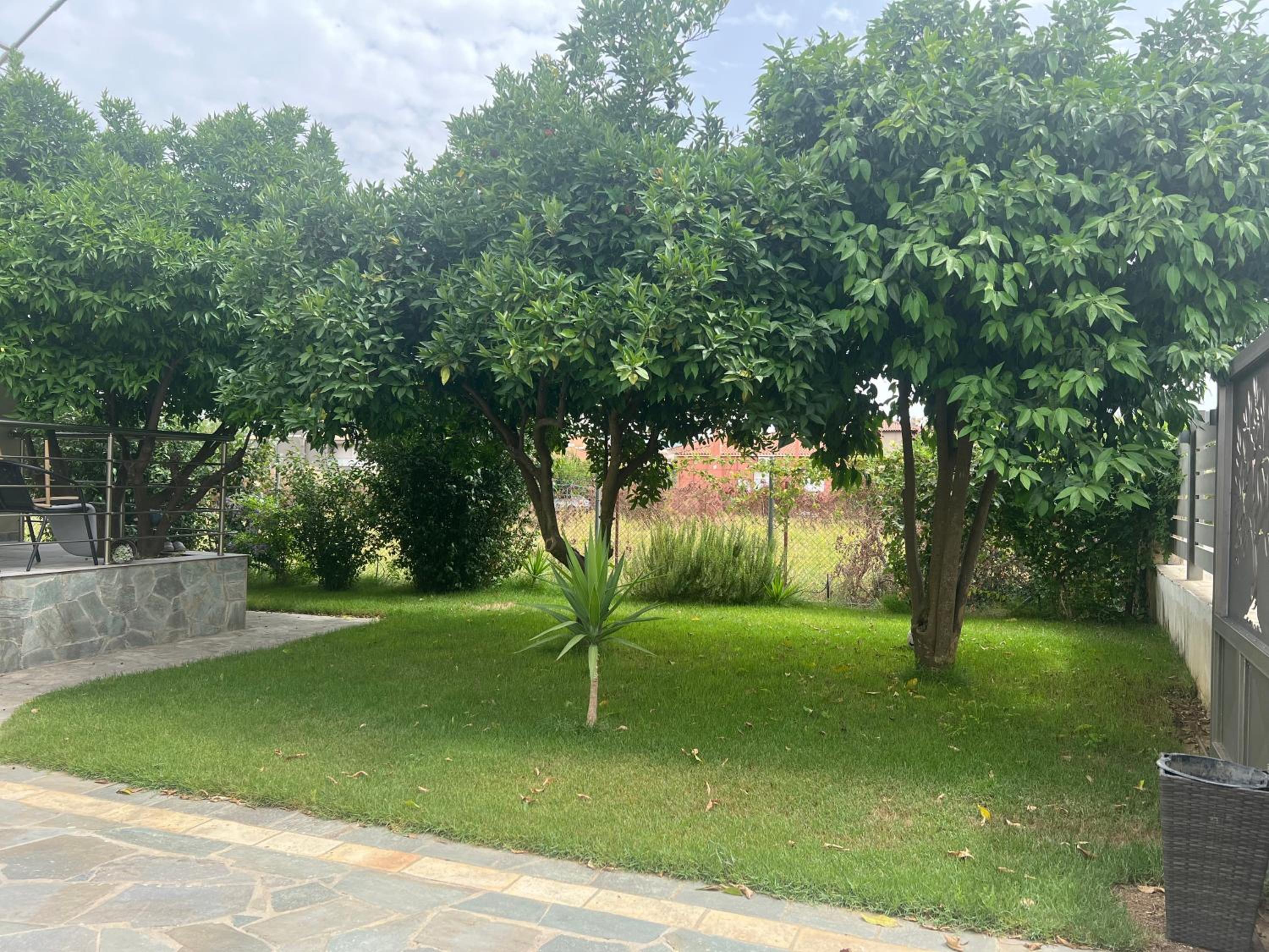 Irene' s Place view 4