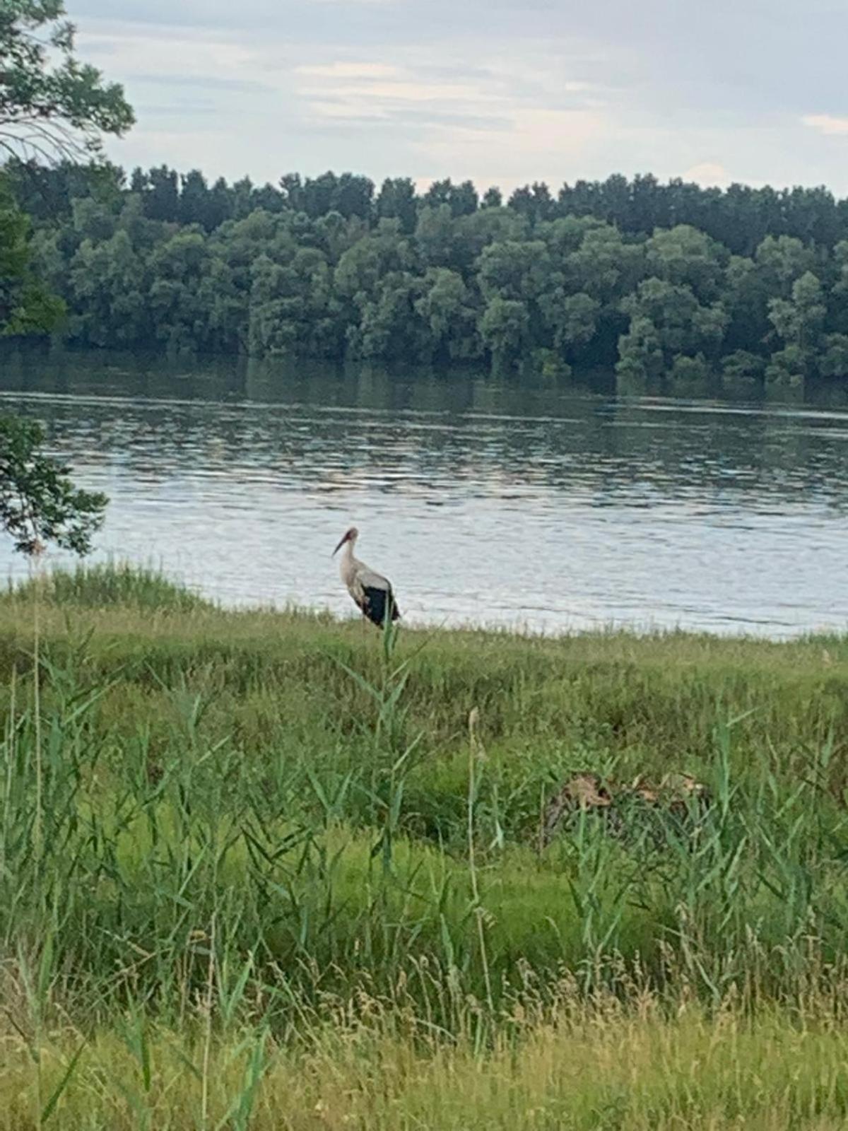 Pensiunea Acvila