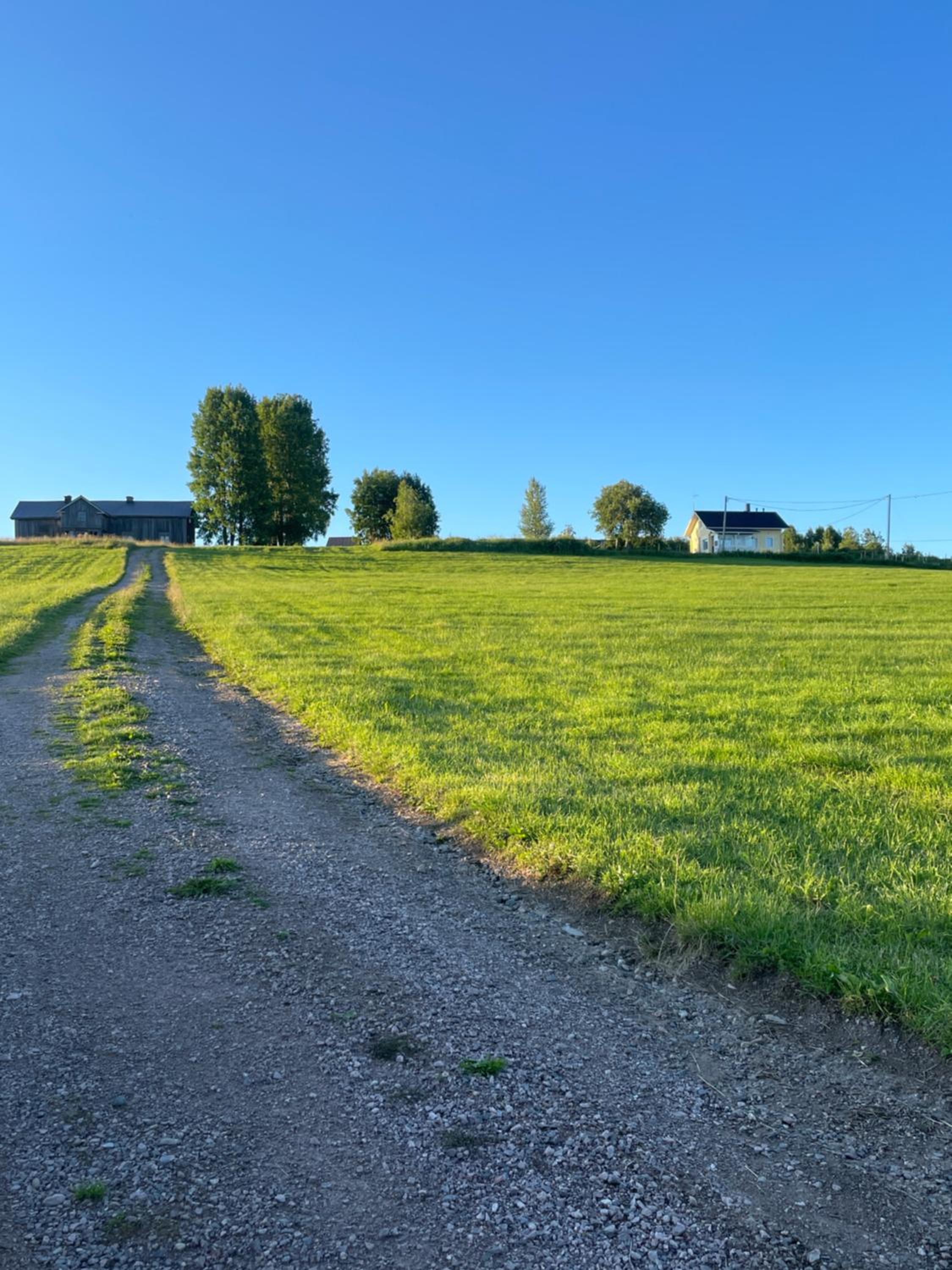 Käylän Helmi