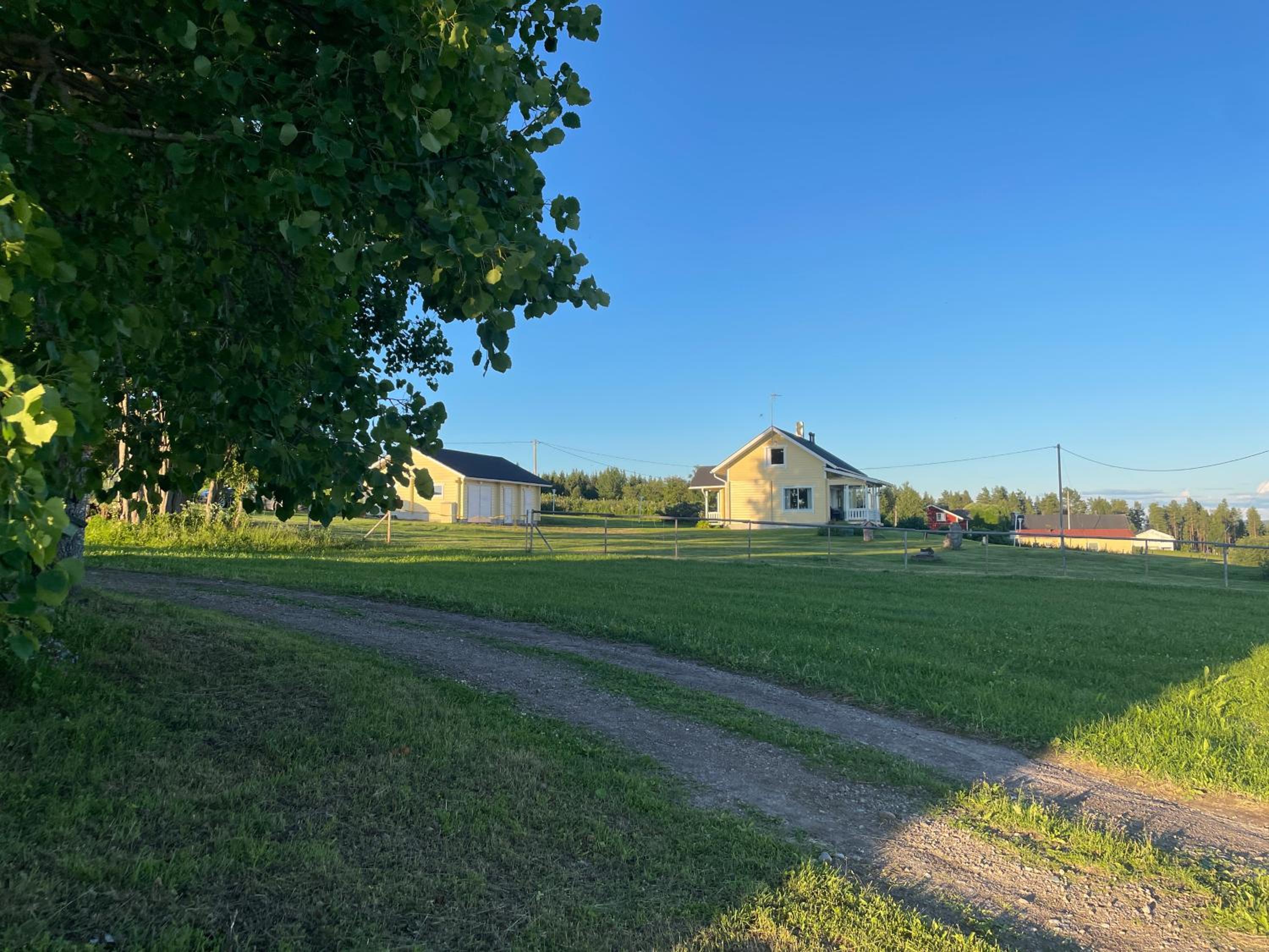 Käylän Helmi