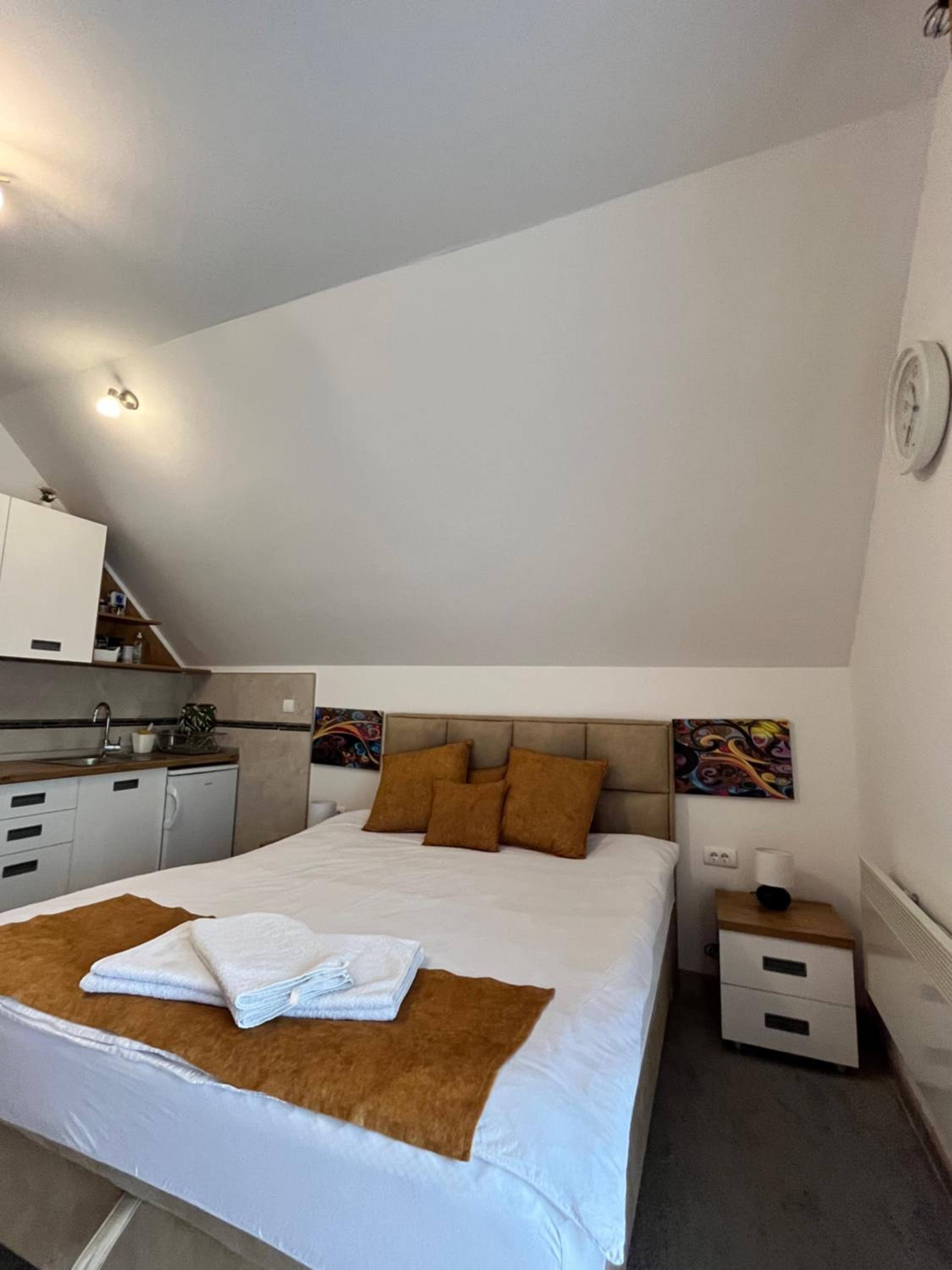 Apartman Pavle view 5
