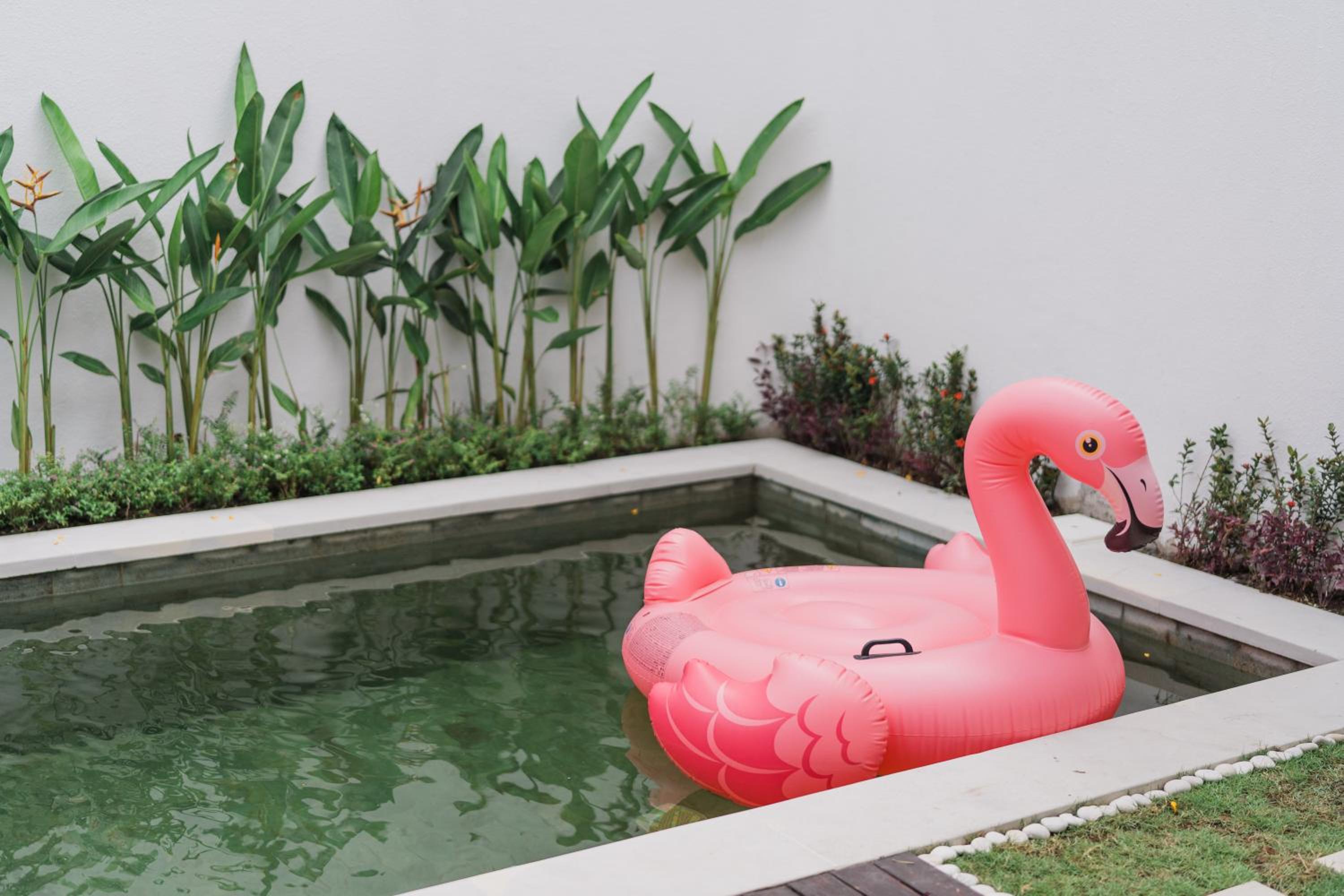 Villa Noni Kerobokan - By Bali Lyfe Venture