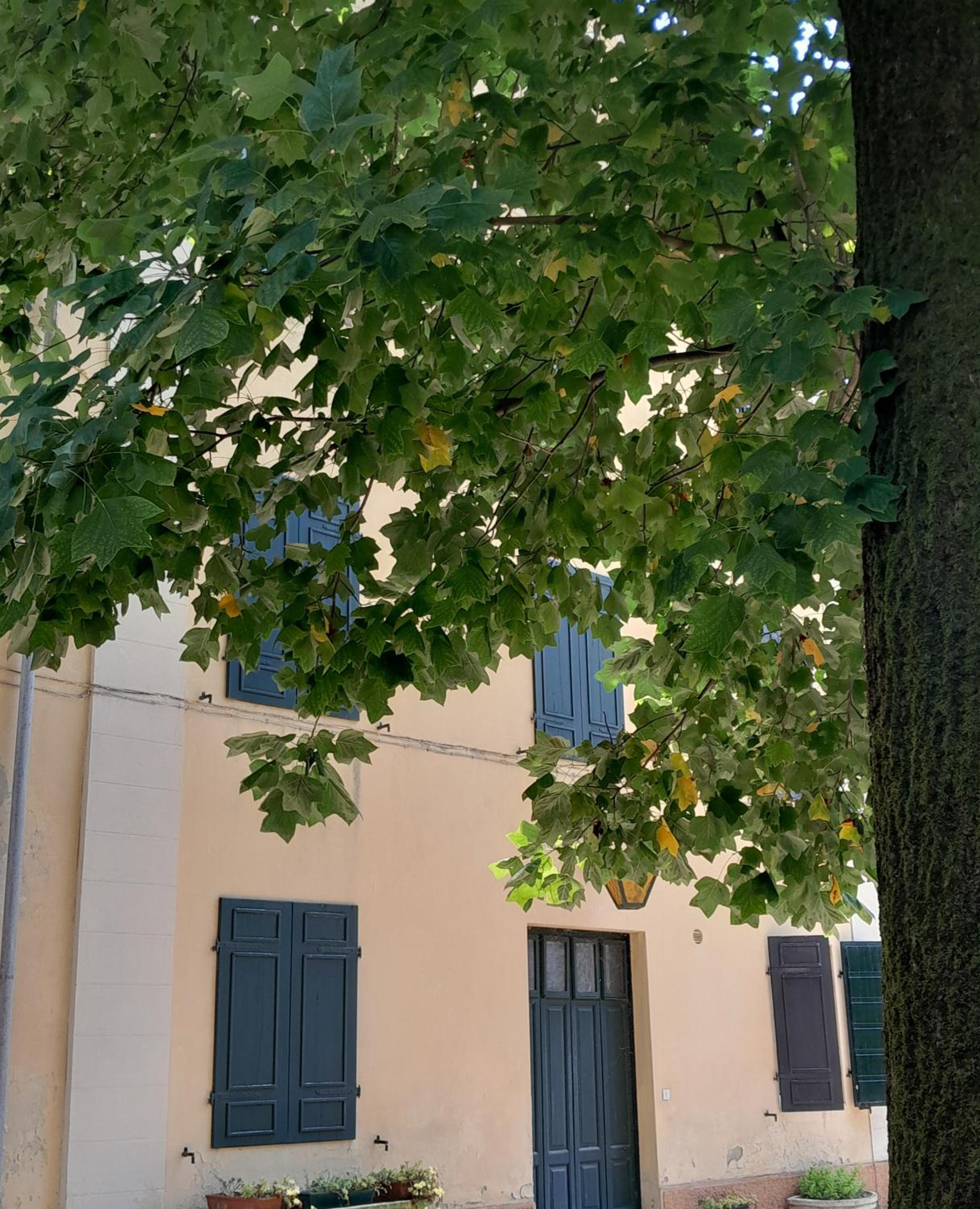 Photo 44