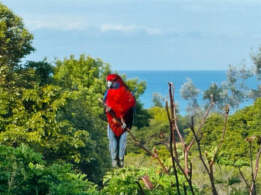 Bunga Lodge
