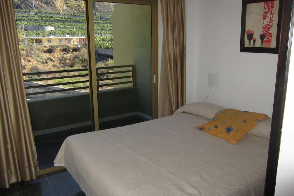 Vivienda Apartamento Gallo Playa Puerto Naos