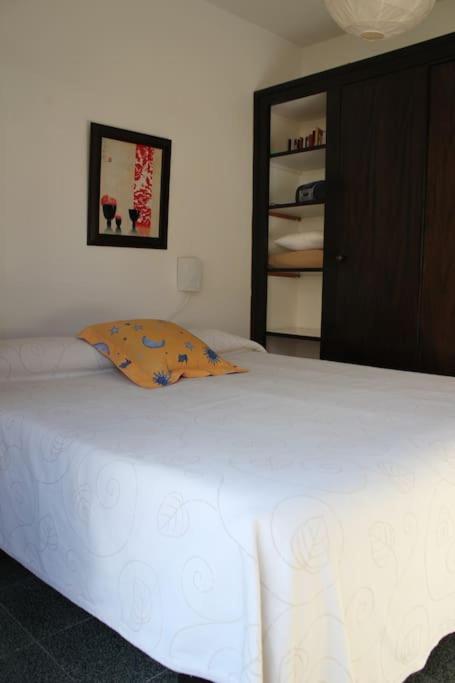Vivienda Apartamento Gallo Playa Puerto Naos