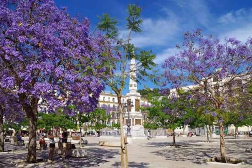 Habitaciones corazón Centro Histórico Málaga Homestay
