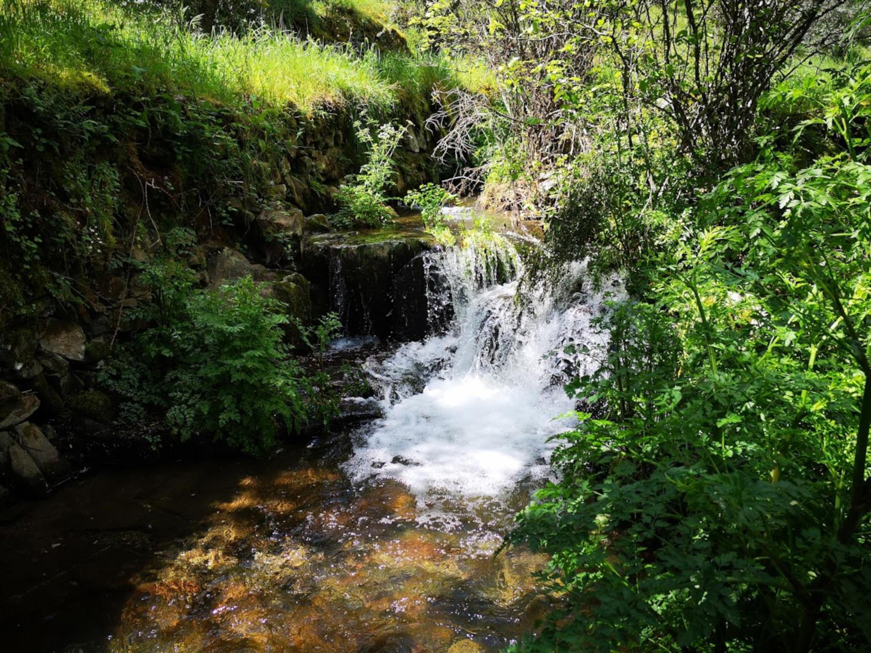 Photo 48