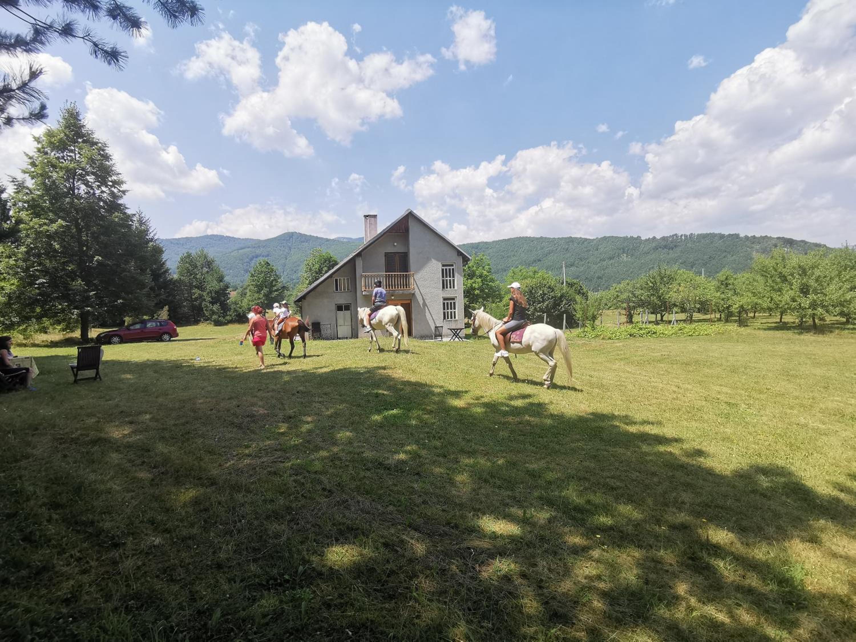 Pine corner Mojkovac