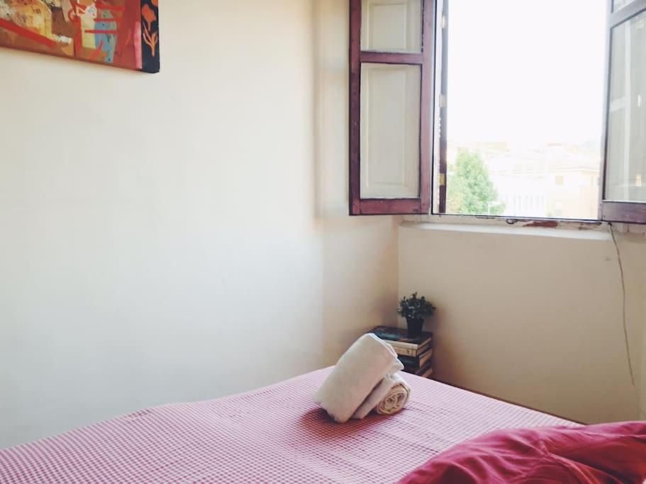 Habitaciones corazón Centro Histórico Málaga Homestay
