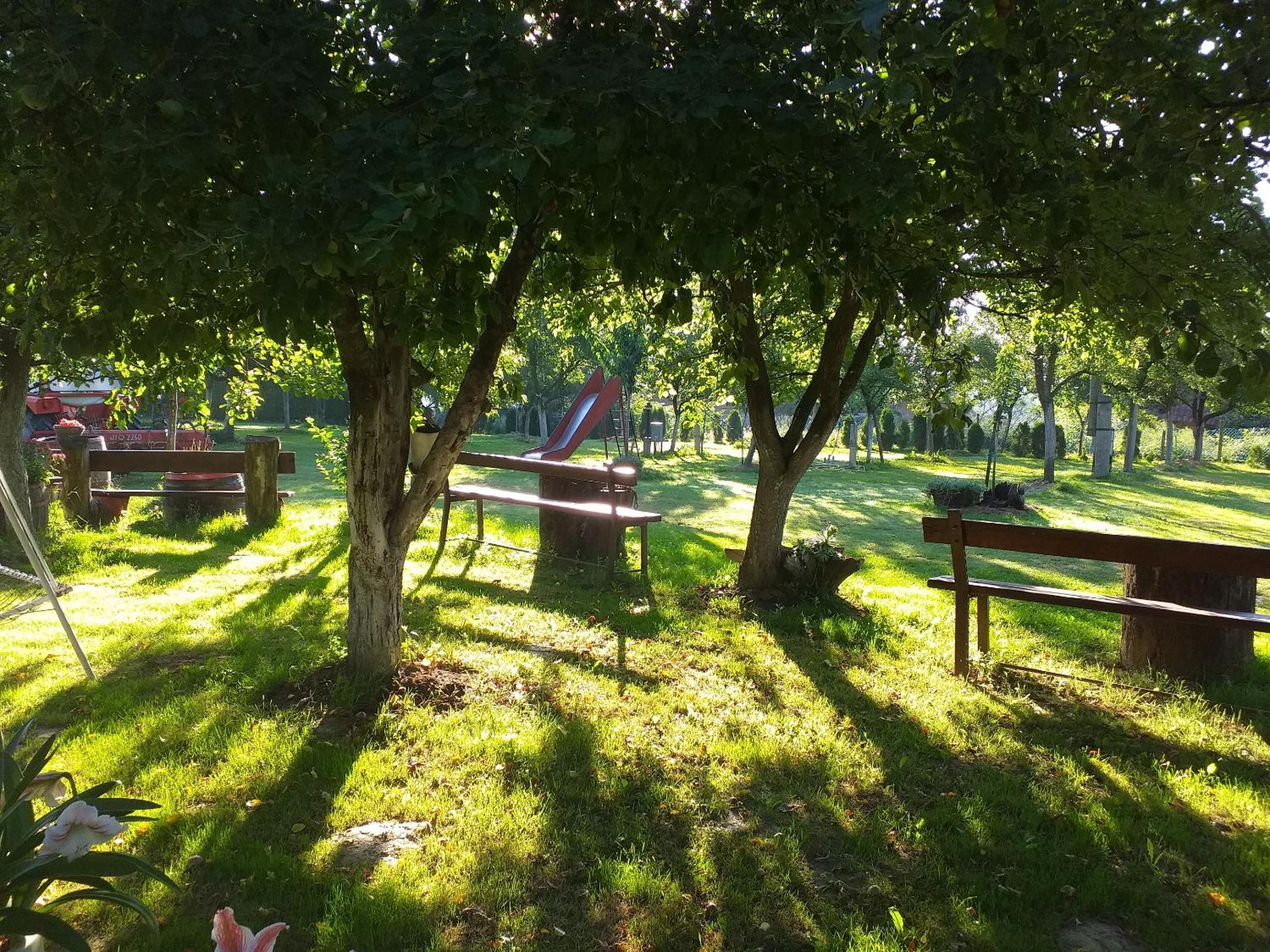 Cozy bungalow in Brinjani with garden view 30 m² view 4