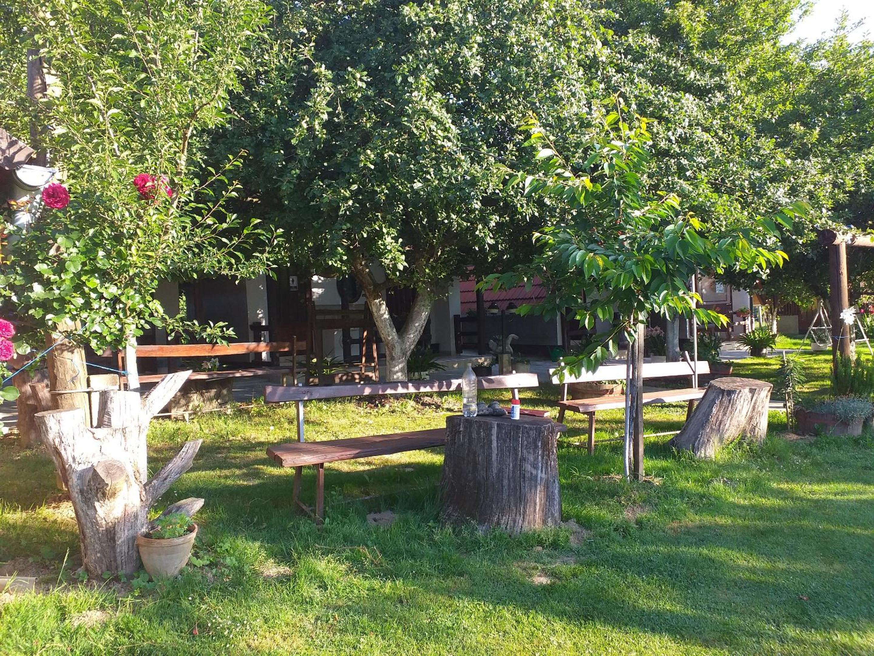 Cozy bungalow in Brinjani with garden view 30 m² view 5
