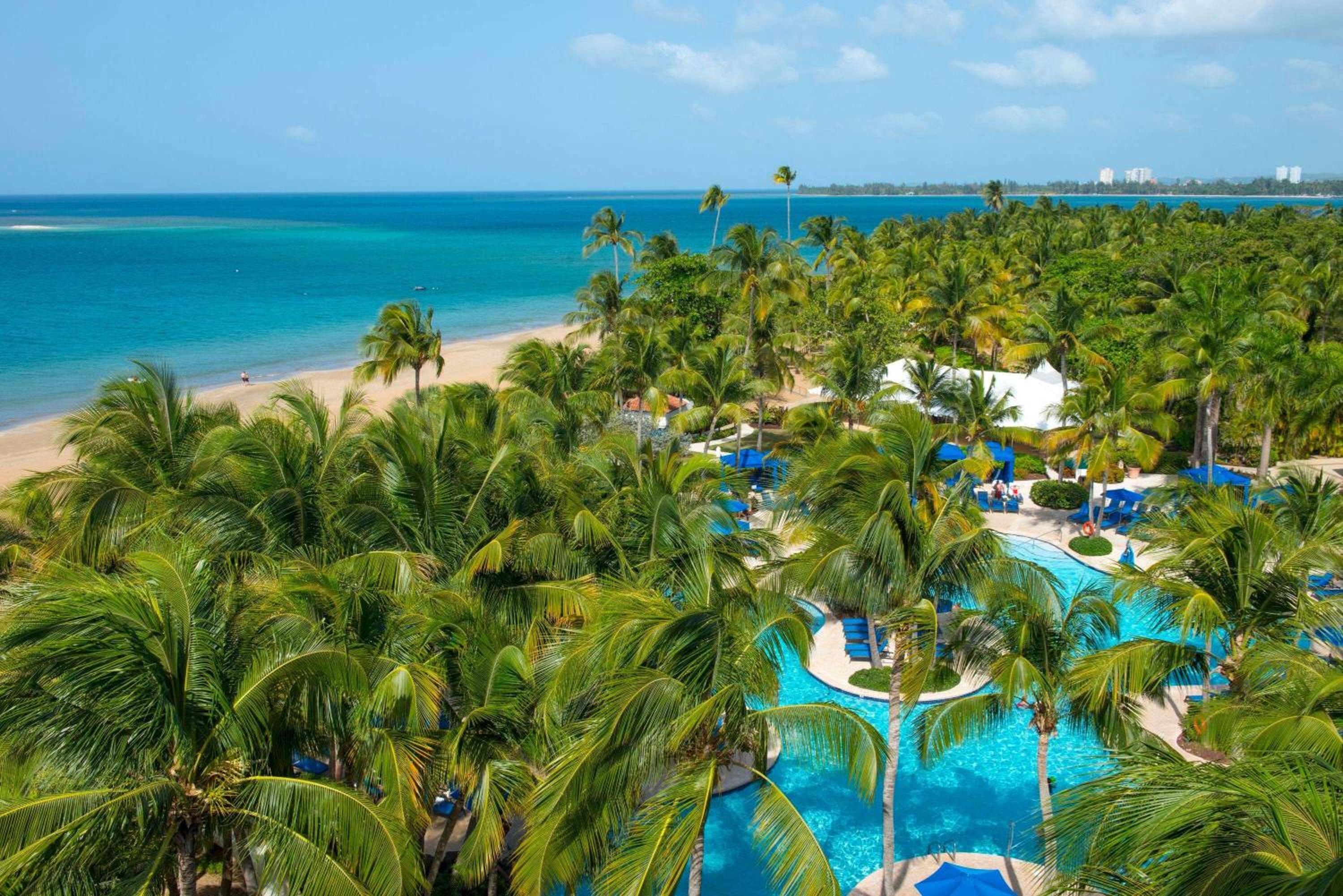 Wyndham Grand Rio Mar Rainforest Beach and Golf Resort - Property Image 126