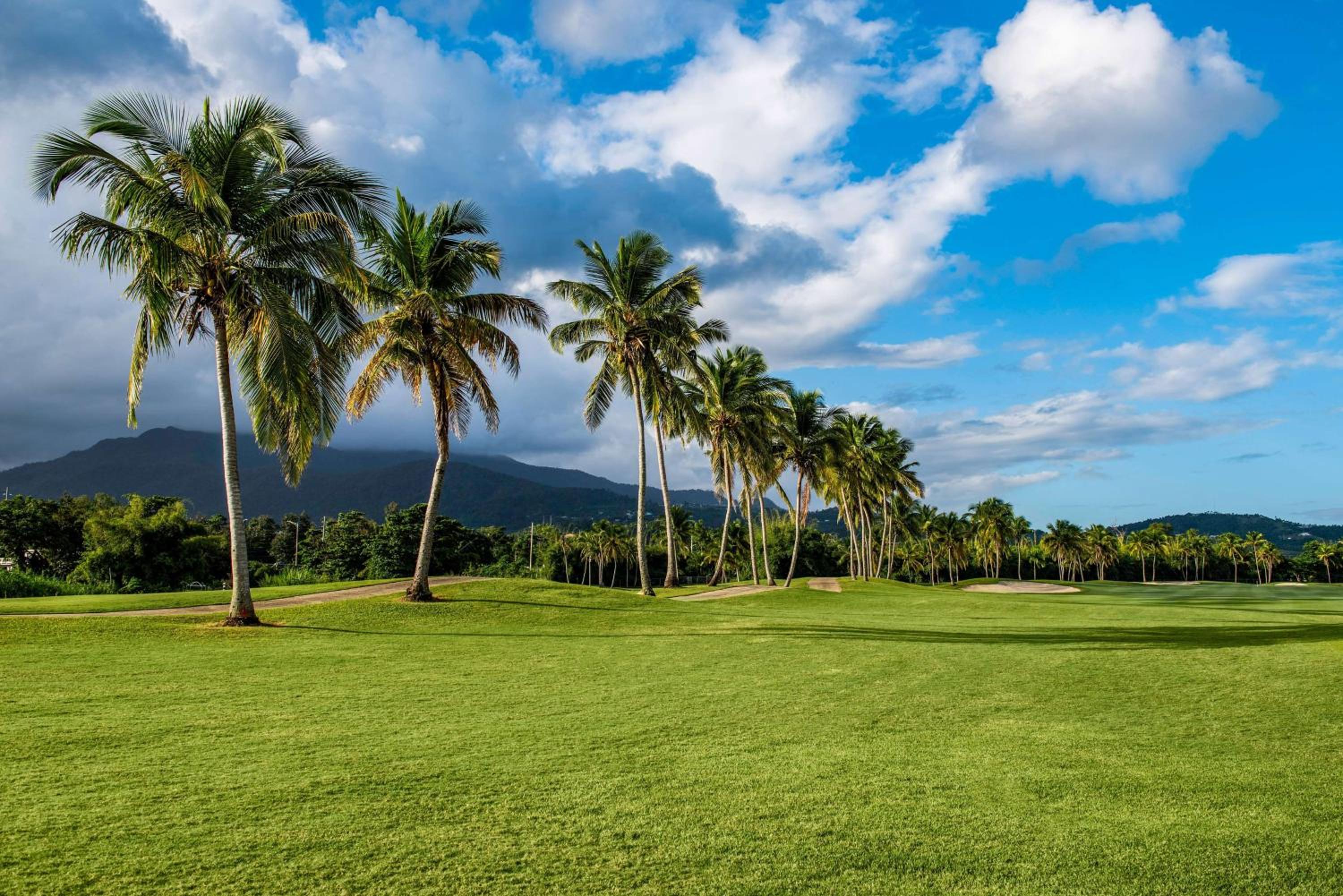 Wyndham Grand Rio Mar Rainforest Beach and Golf Resort - Property Image 71