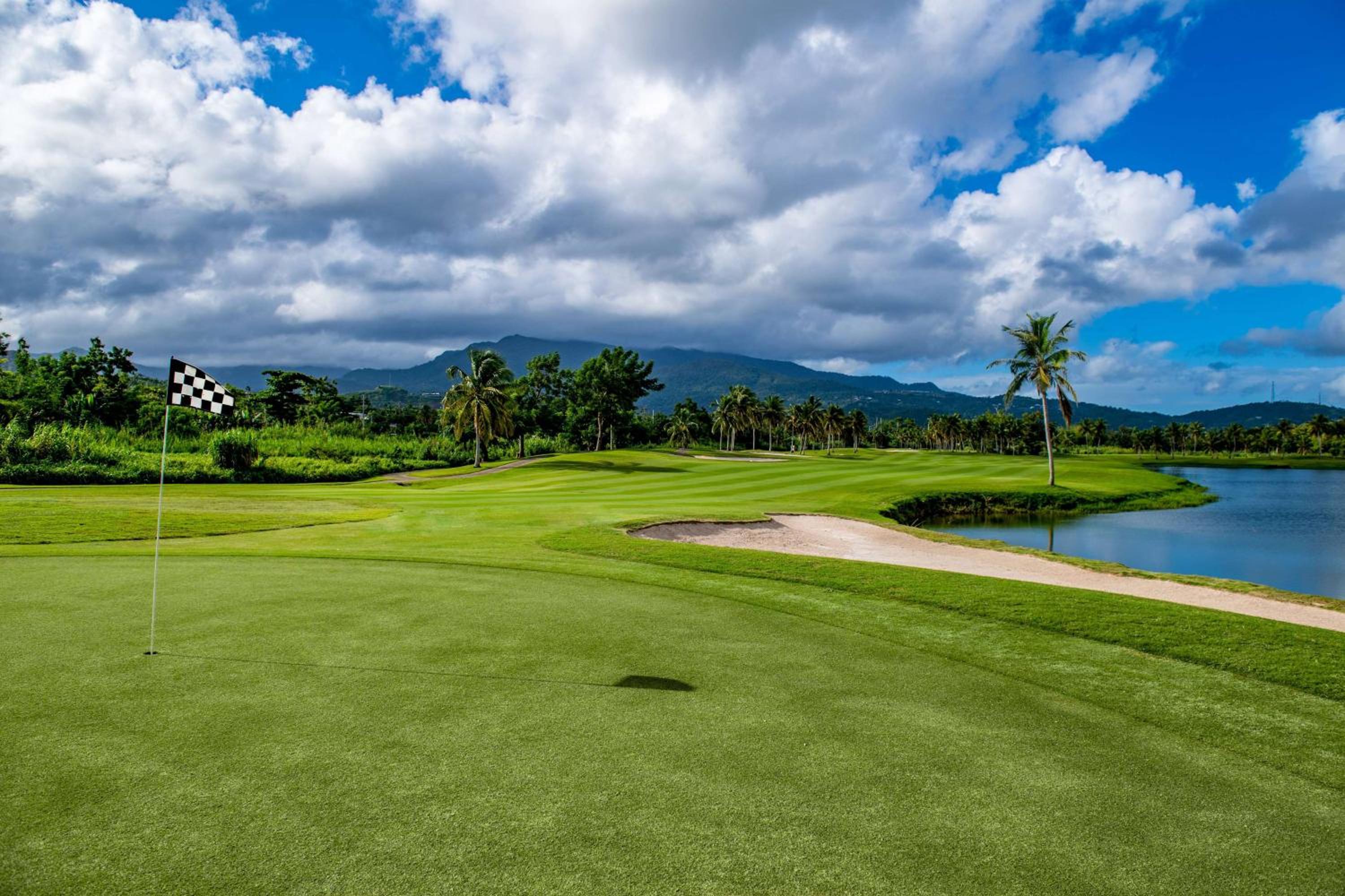 Wyndham Grand Rio Mar Rainforest Beach and Golf Resort - Property Image 72