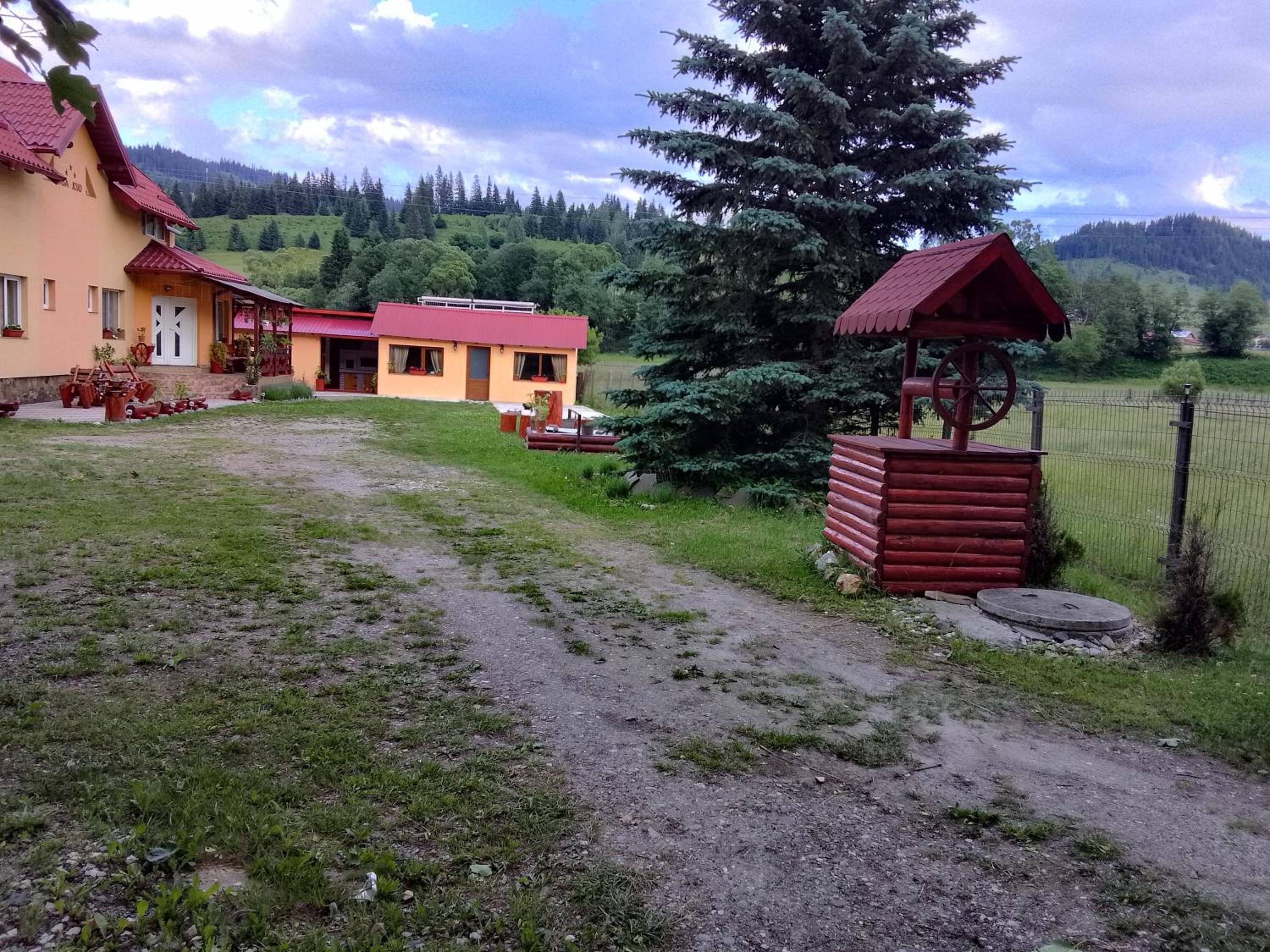 Photo 8