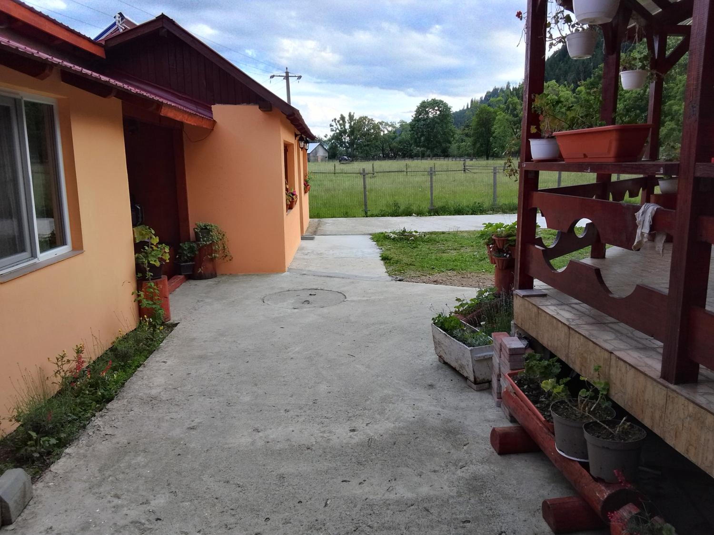 Photo 12