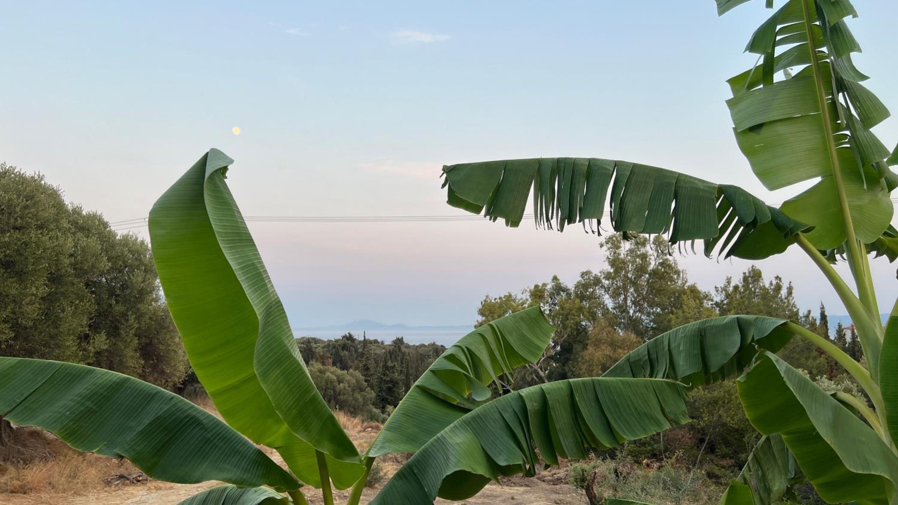 Mediterranean Studio Ratzakli