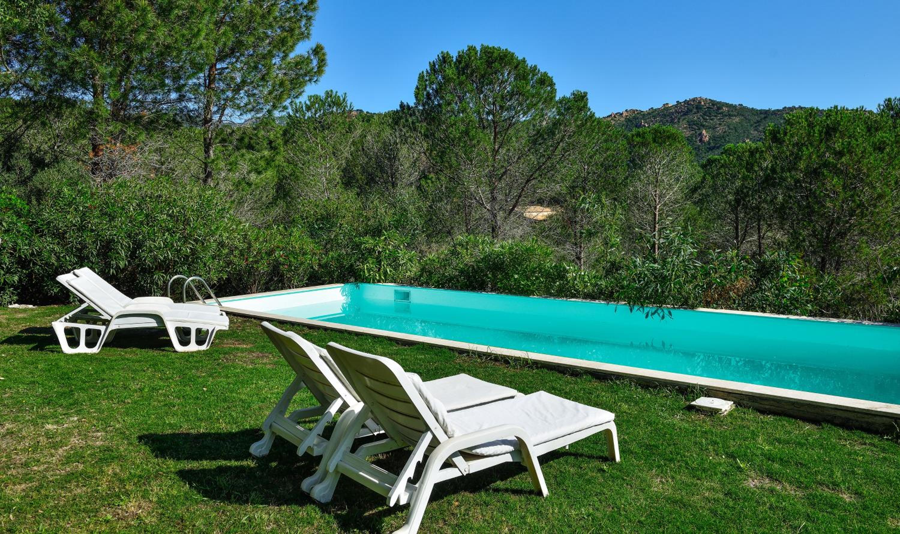 Villa Paradiso photo 3
