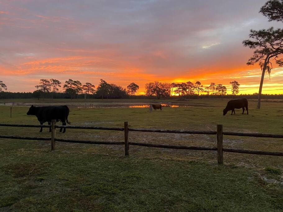 Triangle Ranch