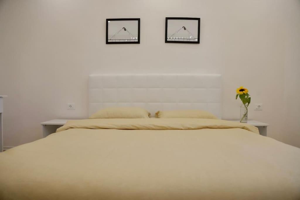 Helianthus, by Bloom Apartments in Central Tirana