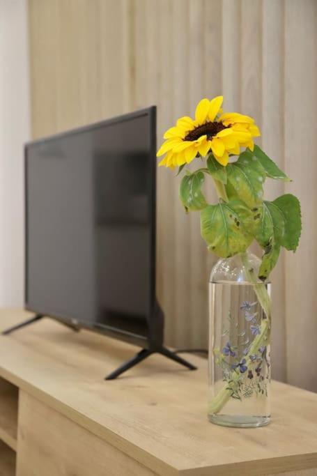 Helianthus, by Bloom Apartments in Central Tirana