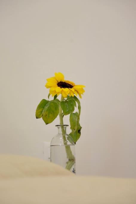 Helianthus, by Bloom Apartments in Central Tirana