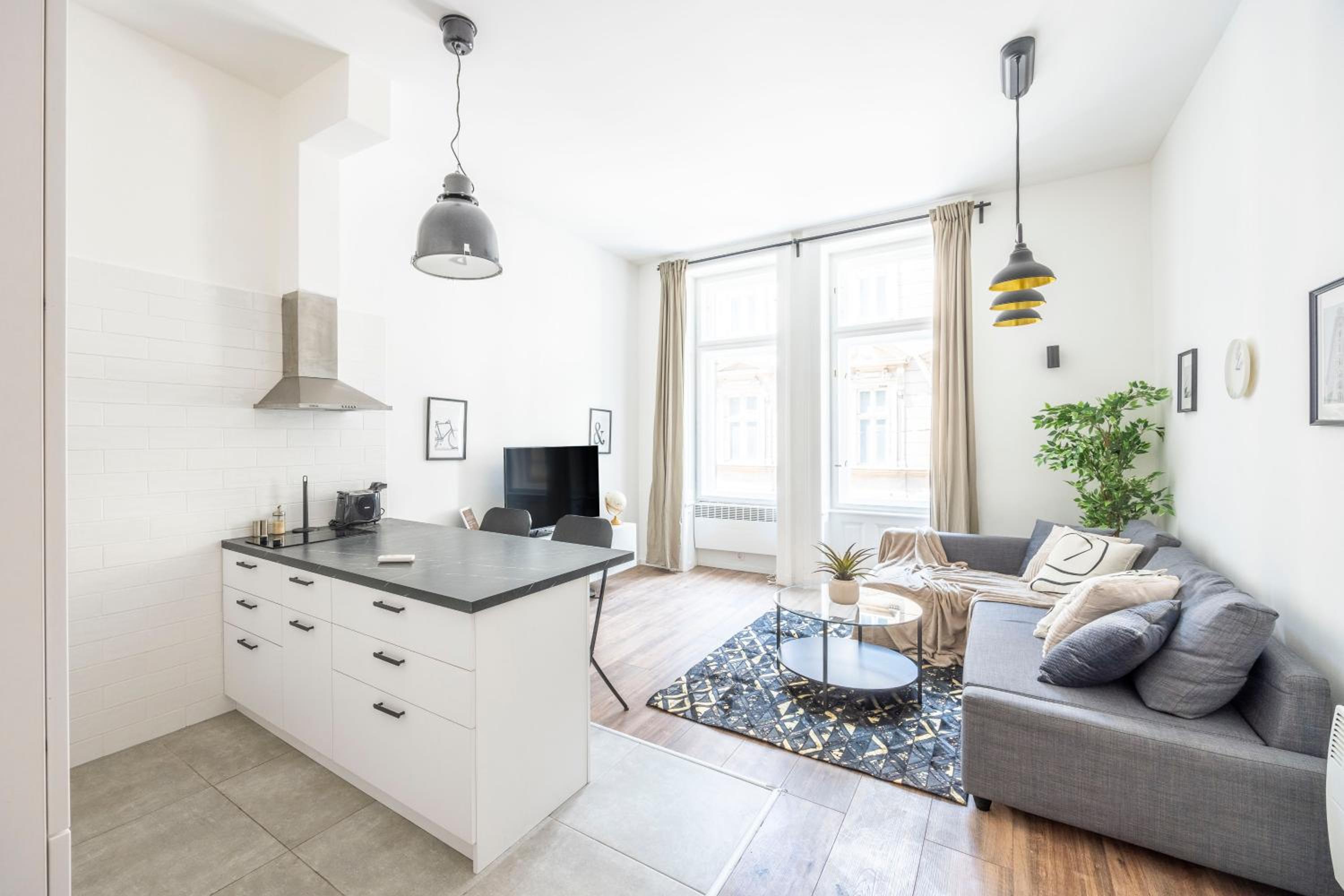 Charming & Cozy Central 1BEDRM Suites view 3