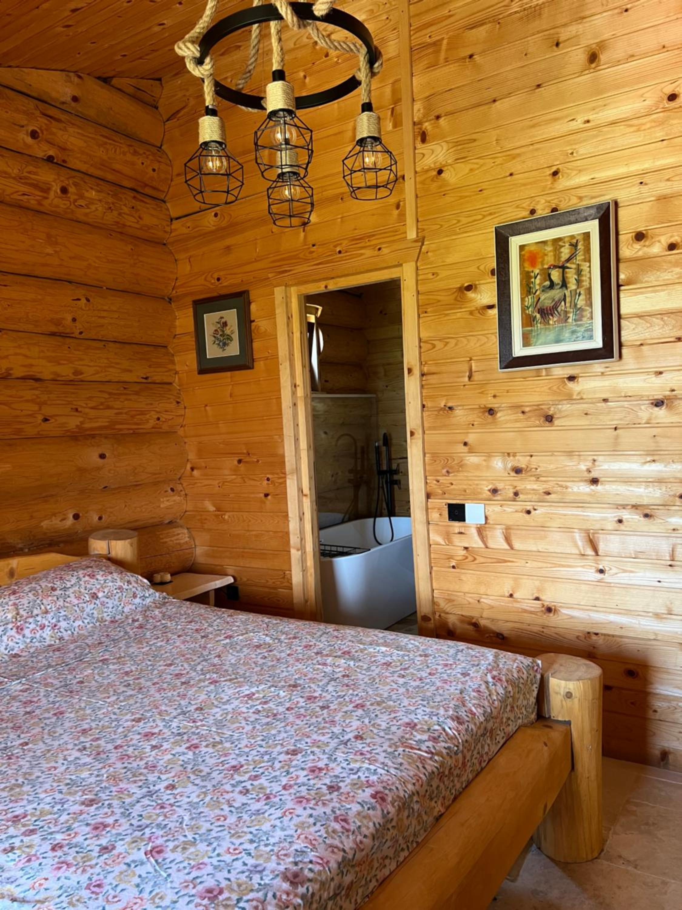 Photo 43