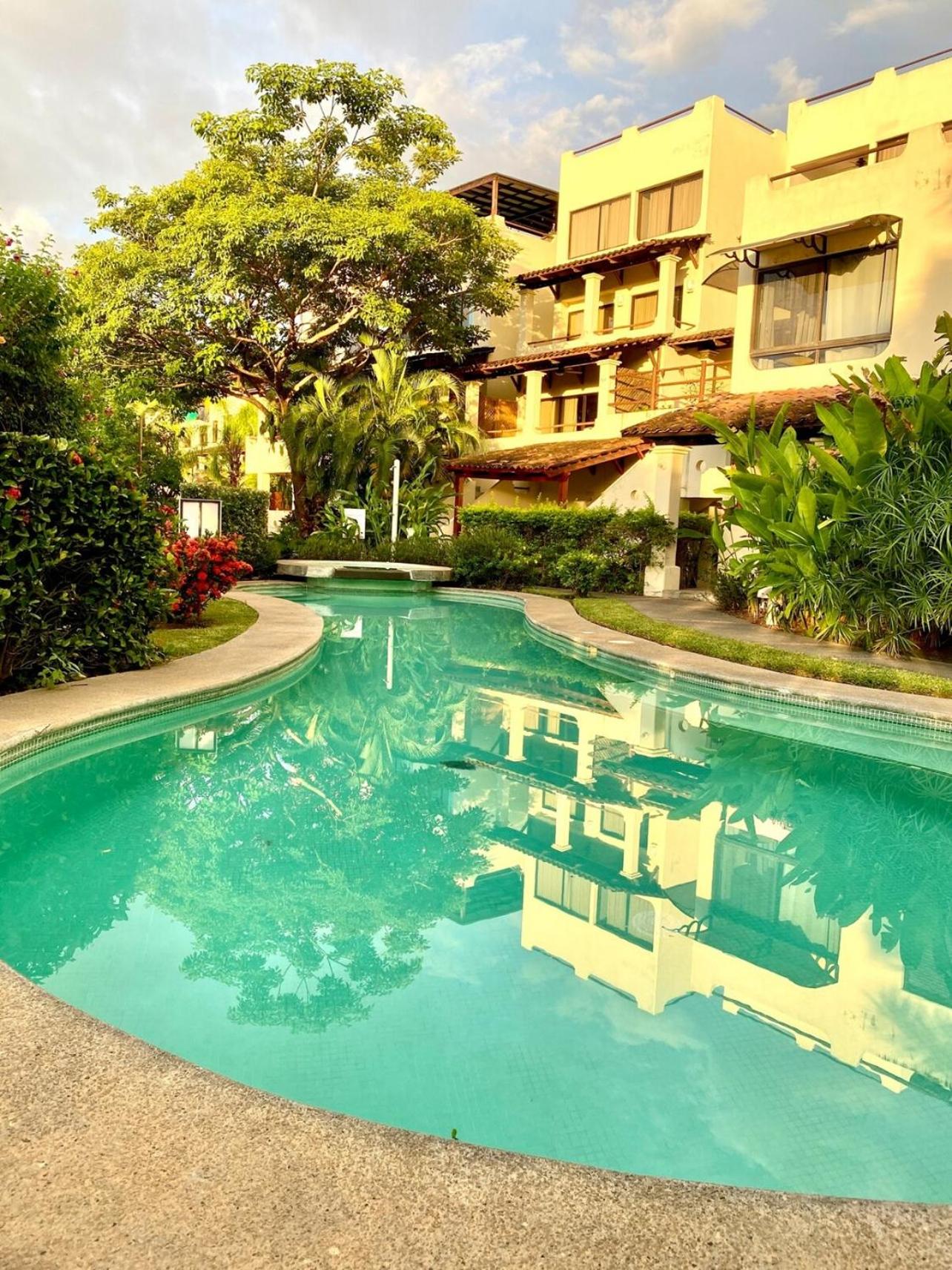 Turtle's Nest Condo